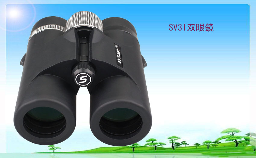 sv31-3.jpg sv31-3.jpg