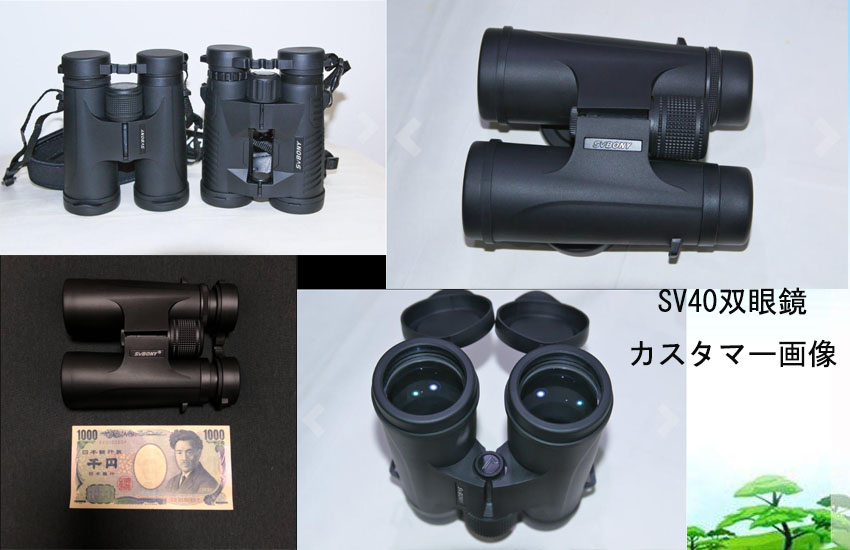SV40.jpg SV40.jpg