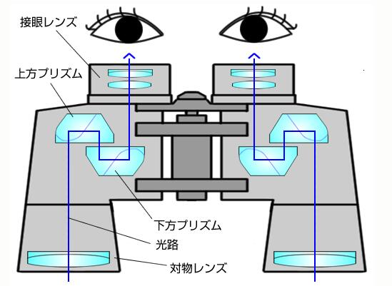 ポロ双眼鏡光路図 ポロ双眼鏡光路図