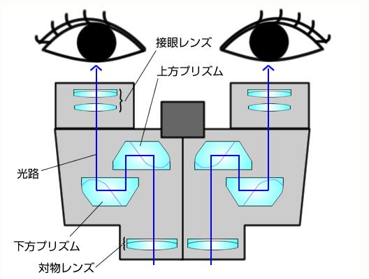 ミニポロ双眼鏡光路図 ミニポロ双眼鏡光路図