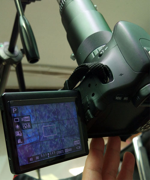 SV112-4.jpg SV112-4.jpg