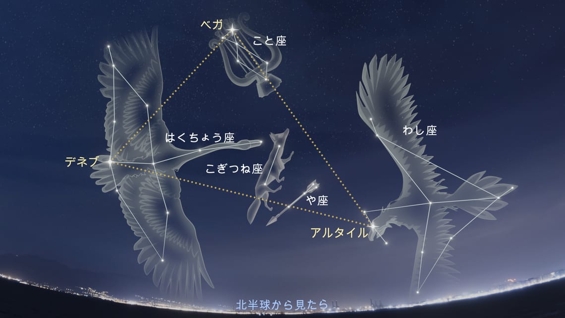 北半球で見た夏の大三角と所属星座
