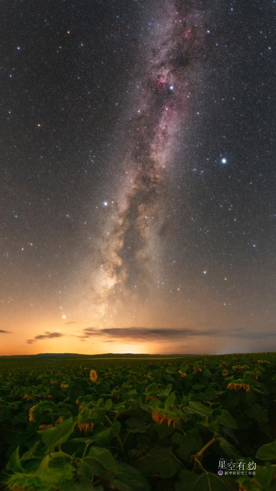 天の川と夏の大三角 実写 ベガ デネブ アルタイル 星空写真