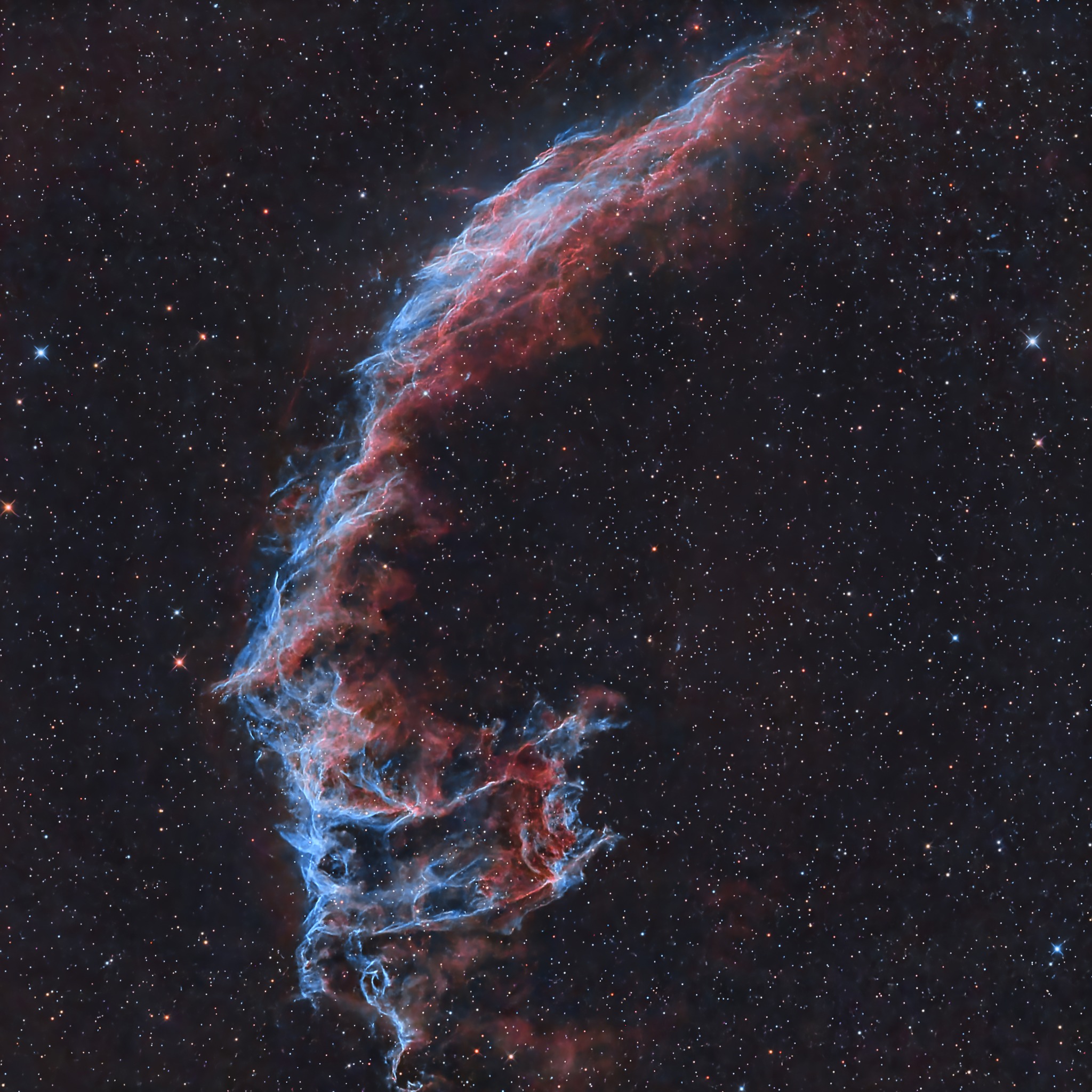 2使用SV220滤镜拍摄的NGC6992